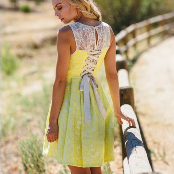 Lolita Lace & Jacquard Mini Dress - Picture 6 of 8